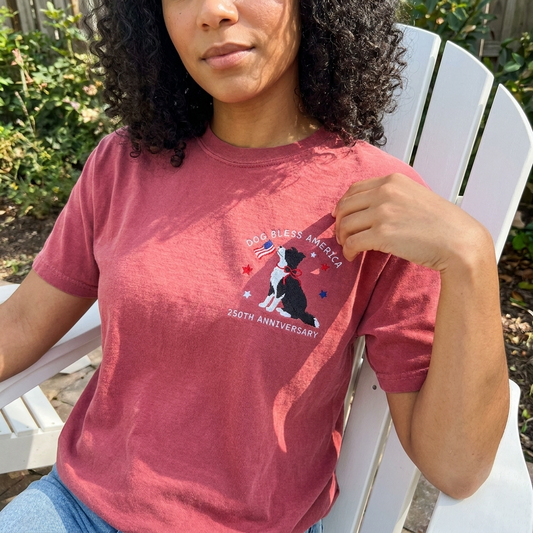 'Dog Bless America' Border Collie Tee